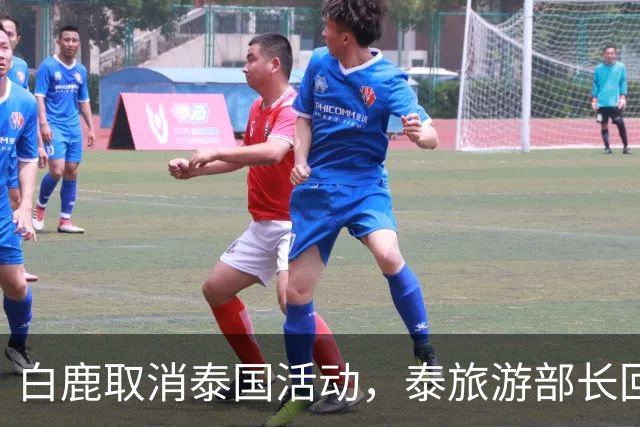 白鹿取消泰国活动，泰旅游部长回应惹争议